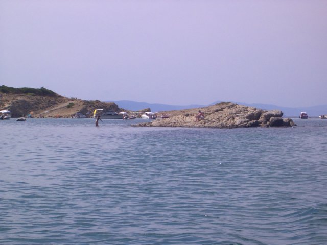 Photograph